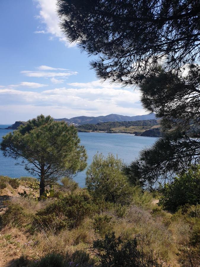 Mas Del Roumany Villa Port Vendres Exterior foto