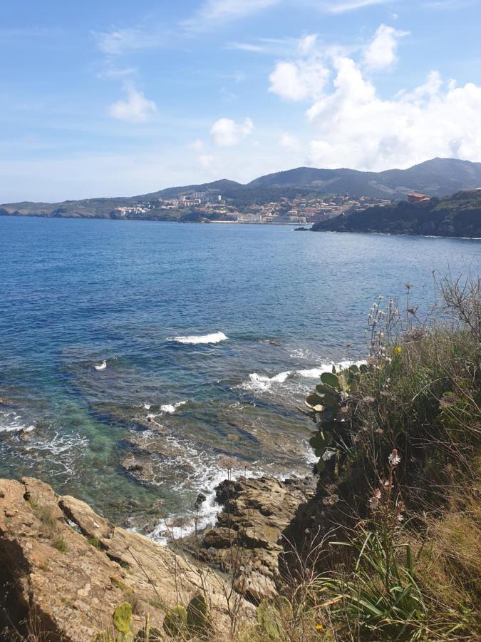 Mas Del Roumany Villa Port Vendres Exterior foto