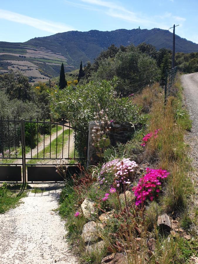 Mas Del Roumany Villa Port Vendres Exterior foto