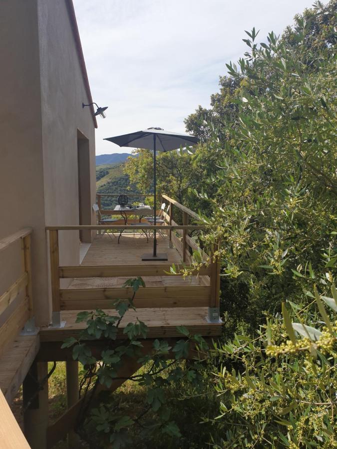 Mas Del Roumany Villa Port Vendres Exterior foto
