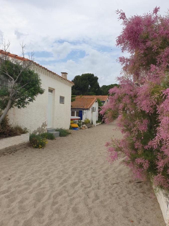 Mas Del Roumany Villa Port Vendres Exterior foto